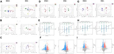 Metabonomic analysis of the anti-hepatic fibrosis effect of Ganlong capsules